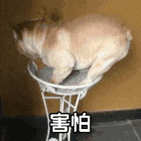 160408jzfye0g9xnlcfgzx.gif