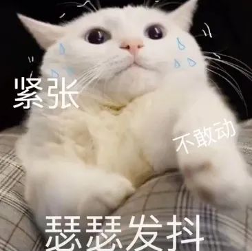 160408rxt1gqxxv6ta91ih.jpeg
