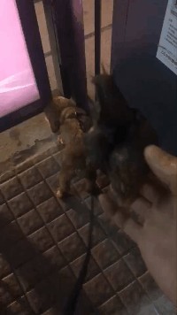 160409i5ojr5d2g2vu03gg.gif