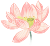 103753jahhofi91424fx93.png