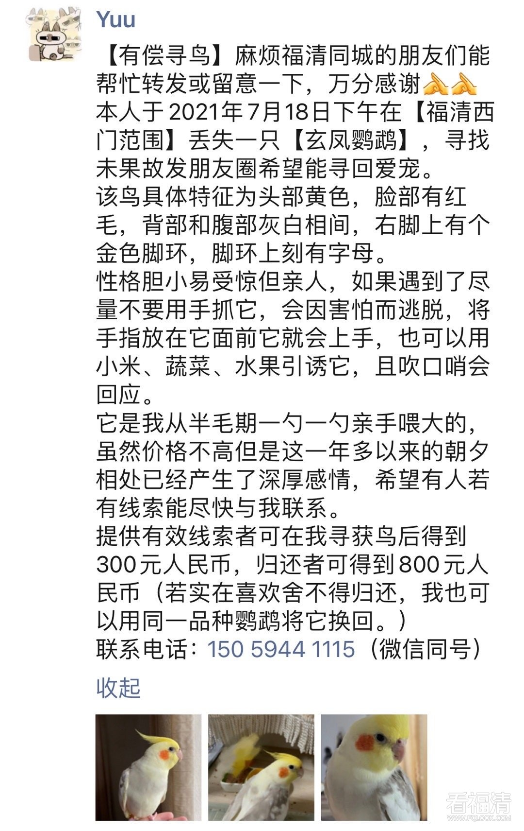 006oqCscgy1gsm1jqi55vj30u01biahy.jpg