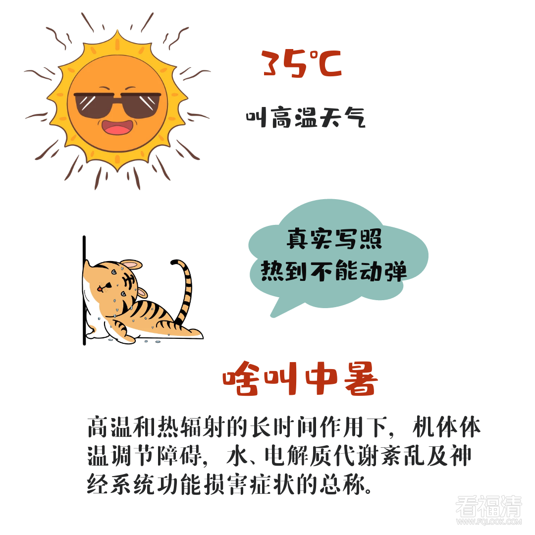 085208tmh9nh0a3a50c5lc.png