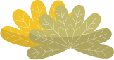 175340c2uhoamxxeezacih.png