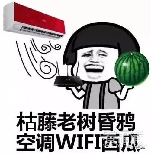 090209xr1qixa71oxriqkn.jpeg