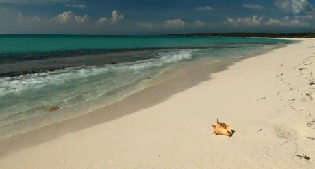 084319ief7xfyerm0kk7dx.gif