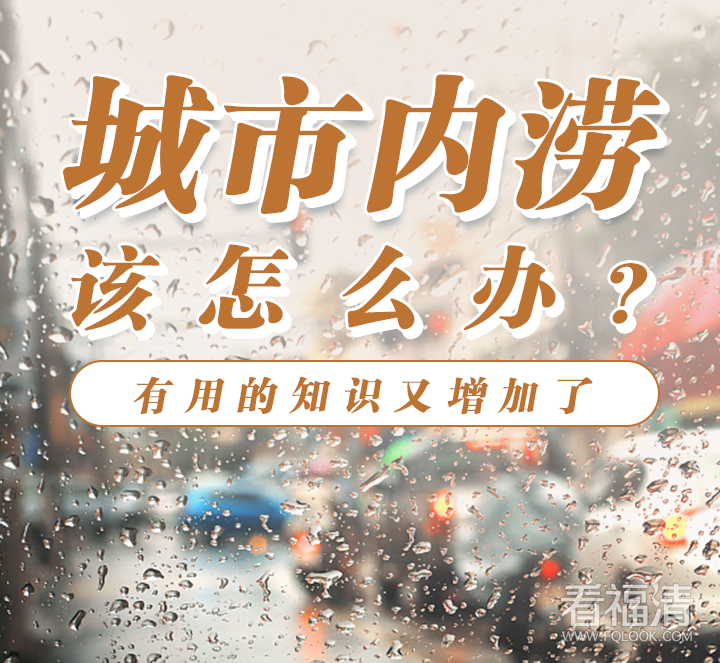 135810bpyp9j94y3478z46.png