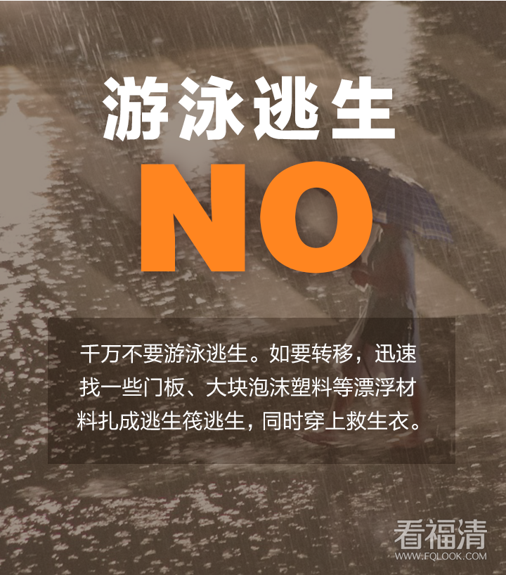 135812zpzfscqufu5ddadc.png