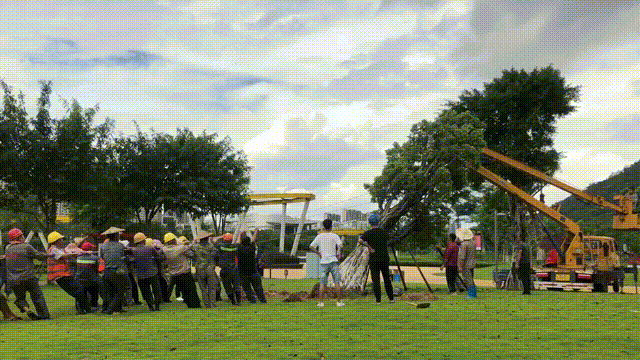 085220c9jr683xn336rx9k.gif