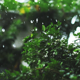 092415rza4suaoazp9fo14.gif