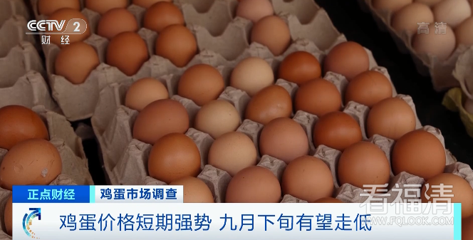 142226ym2g4hhu1i40uqii.png
