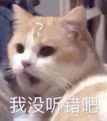 084209ot0x8cfgow8f9sof.jpeg