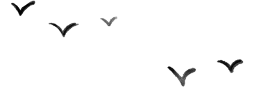 083840nwxrxukfleuxakvu.png