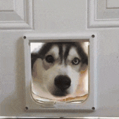 174630t32j0oz9d1j6f09y.gif