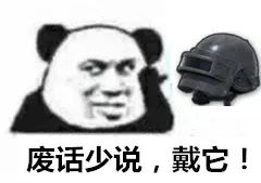 085607zipmomi56483qp4t.jpeg