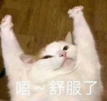 173622ixm4lhh3xcw177lx.jpeg