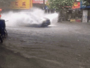 173622mt08yqi8lhn5g530.gif
