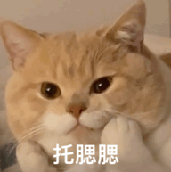 083518pqxrq9omk939ooqq.gif