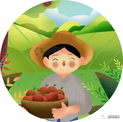 084608h81lplxn9dgo980a.png