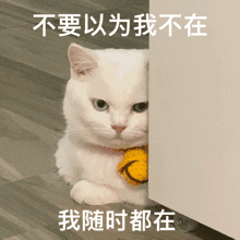 085431ftmg9fodzb4o9stt.gif