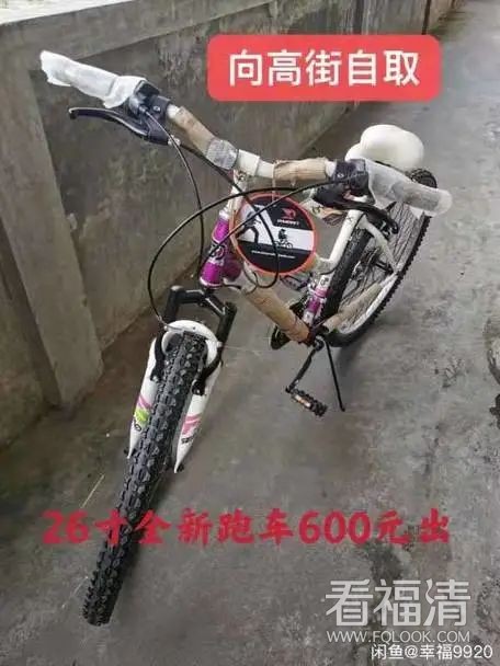 174714khtr1qosjrqqhbr4.jpeg