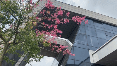 112823ozdo03bs1c2440ob.gif