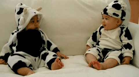 113027tuw5s5a6922g955z.gif