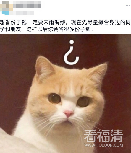 102536wh2s28m8amx4z8a2.png