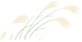 084615tuitt7ircabzvbwt.png