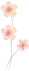 140711bvo7zh7no8pgmx3h.png