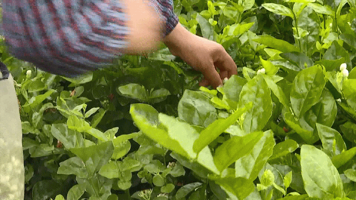 140711doiyw6v969ohovh7.gif
