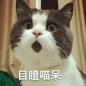 141232vc78v88884v8juhj.jpeg