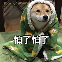 084031hxl2iz2yqmxgt9ix.jpeg