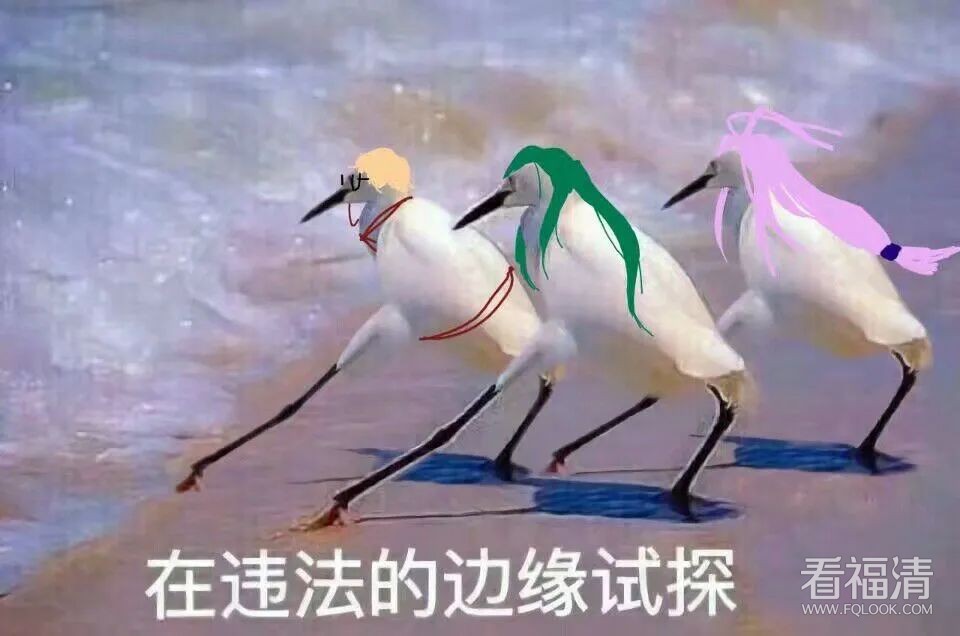 092540ne1el9ij7evl1j0v.jpeg