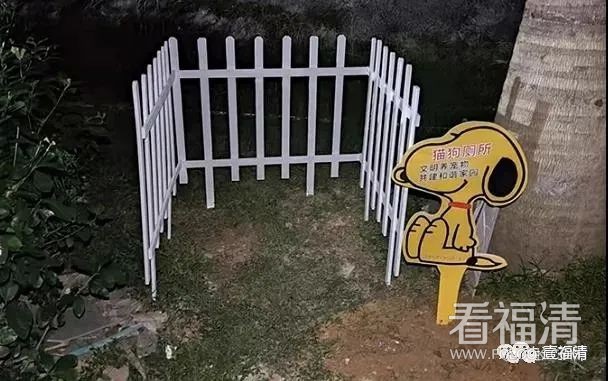 085619p4m03p3s20mjk363.jpeg