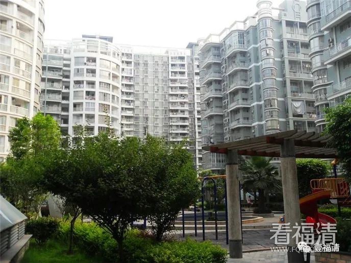 173205ne1ave9g1nzpvlhh.jpeg