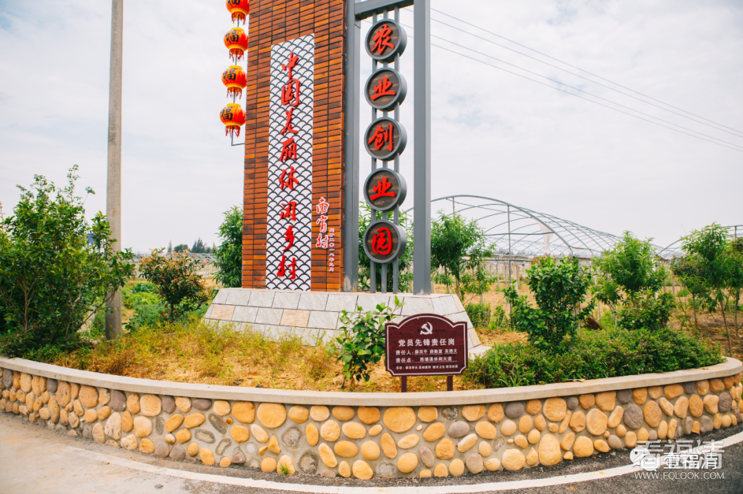 155859hkfvlzssdqj08260.png