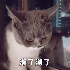 174957tzzh7v2c6hvkcc4h.gif