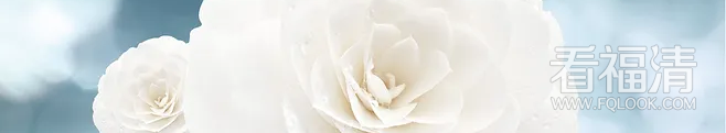 153637jo4nncco7kj77gnn.png