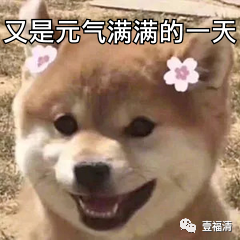 091140dqy6hhhxzyhzrjqn.png