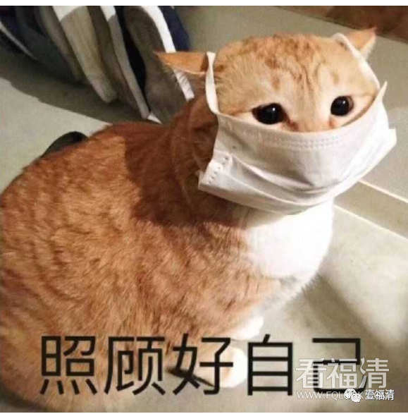 083733ahrdyaveheotage9.png