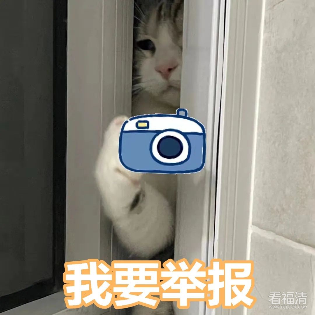 085215rbmtscfpawvalb14.jpeg