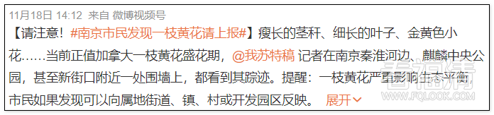 094216w6sct6ewe5wpswwt.png