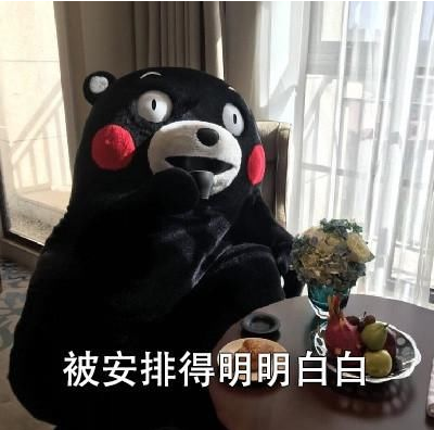 101344k1sj55ho8qrfzrdk.png