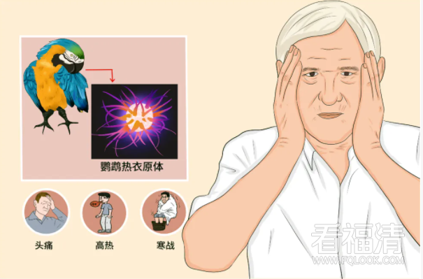 150027prf5lgssfm985oyr.png
