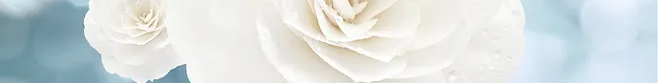 105333ce9p05ow0g0sww5s.png