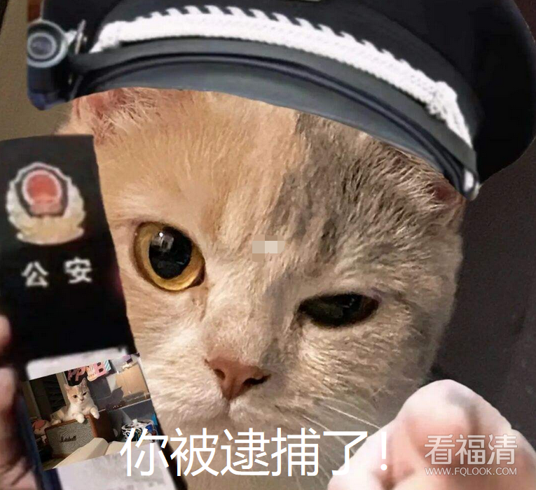 090646uwwcgytqdt75cxq7.png