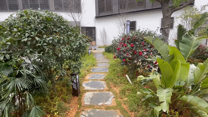130500z5f3t7o5z569i984.gif