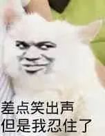 115509g64z8ky8iov8a446.jpeg