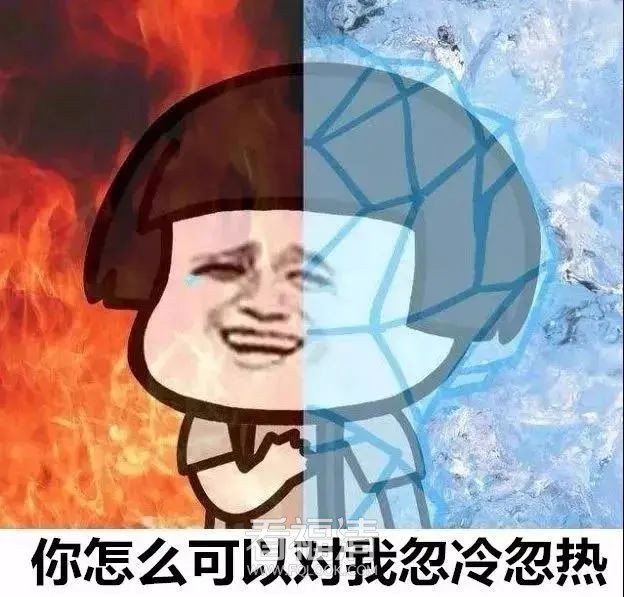 115509jelelbpgquyypv3f.jpeg