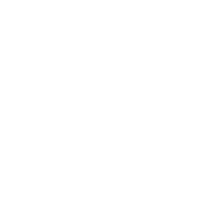 110515q4iizpnlieiniacl.png